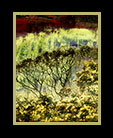 A partially abstract image of a sunny landscape thumbnail